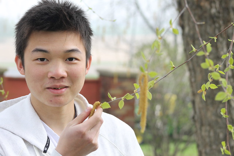 40738186183_6487acded5_c